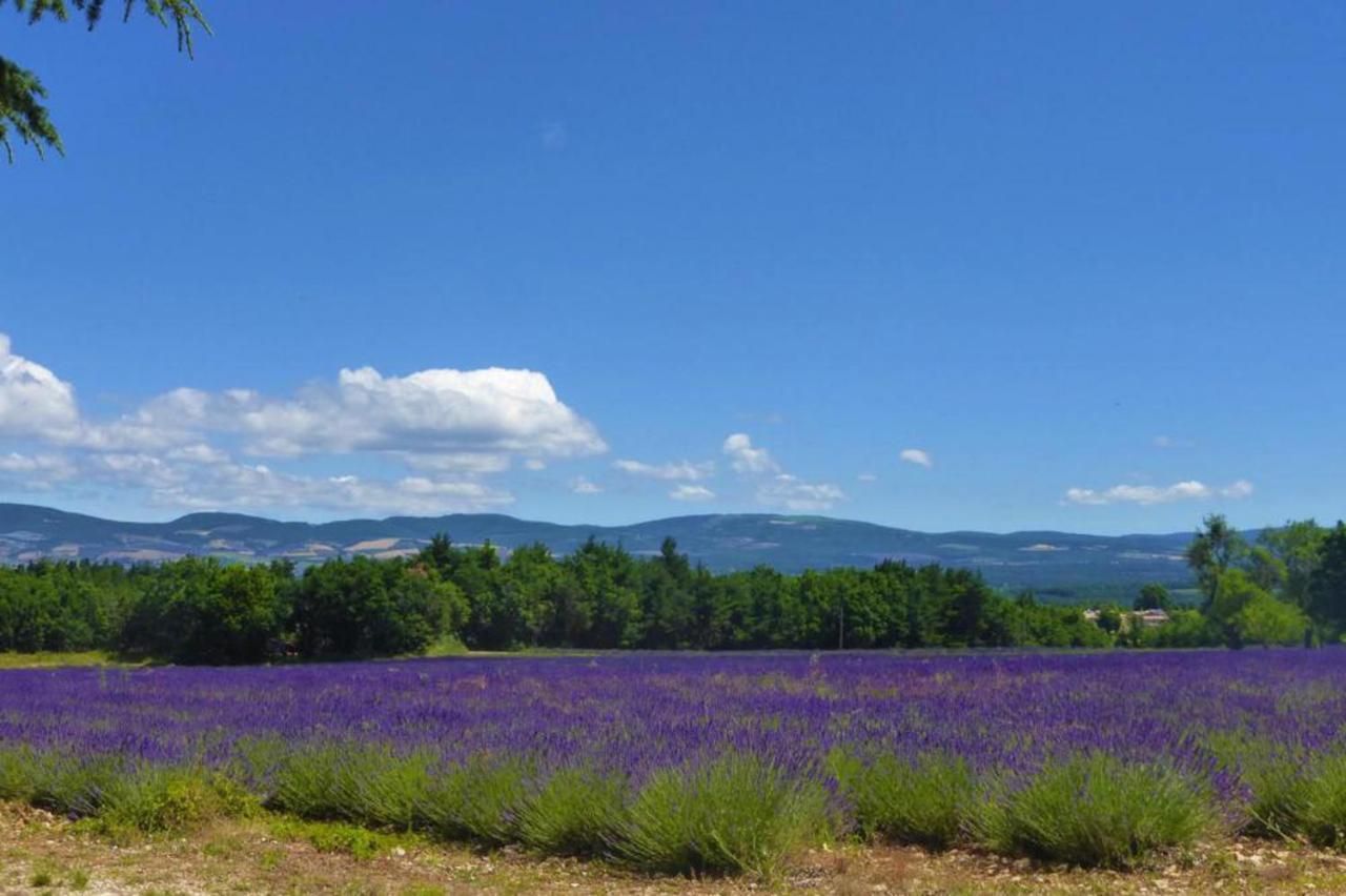 "Enfin Arrives" Maison Spacieuse En Campagne LʼIsle-sur-la-Sorgue Eksteriør bilde